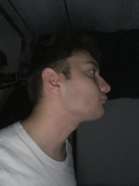 #27463 Dennis