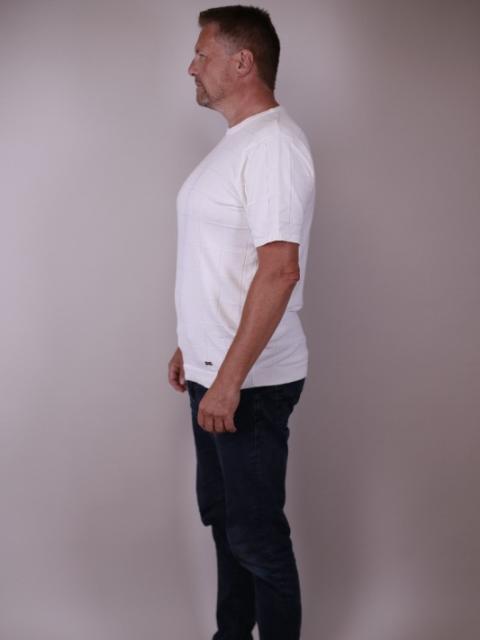#27511 Morten