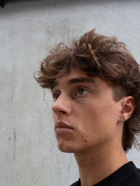 #27062 Vitus