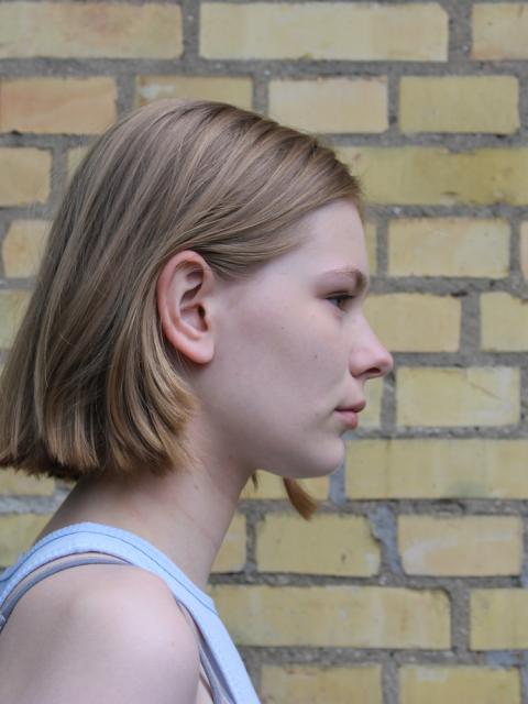 #26533 Lærke